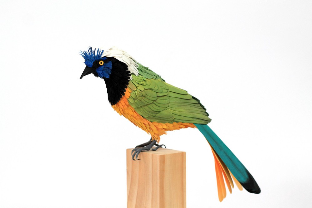 cockatoo bird paper sculptures by diana_0