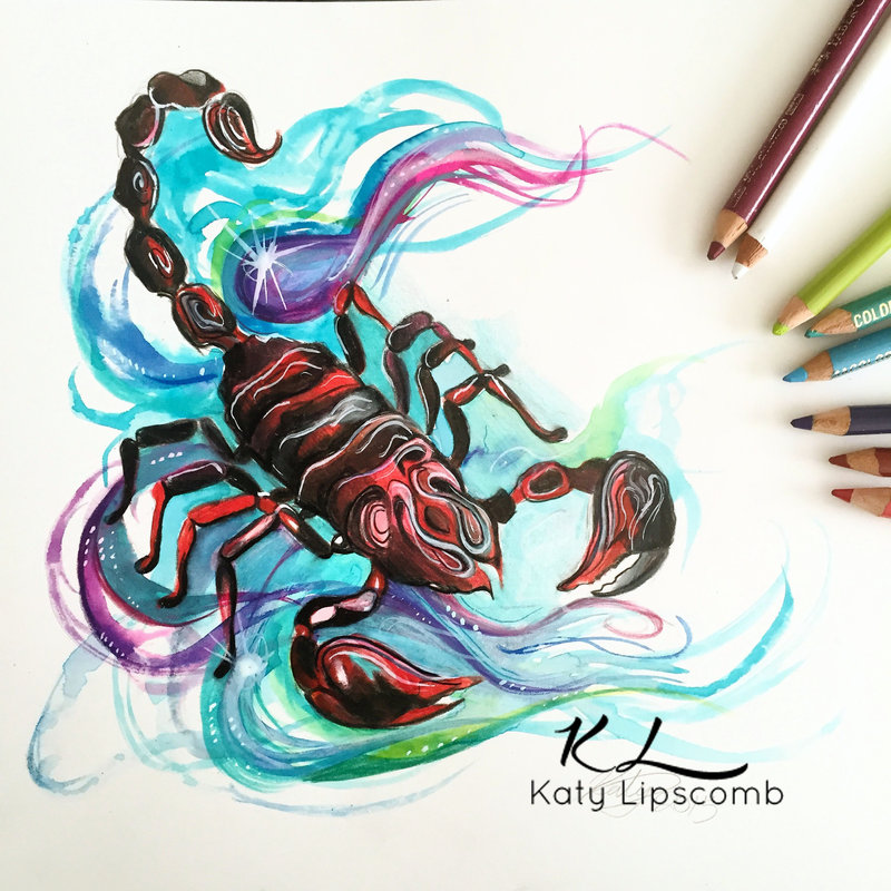scorpio animal drawings by katy lipscomb