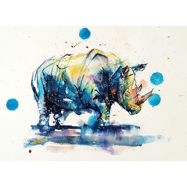 rhinoceros colorful watercolor paintings by liviing