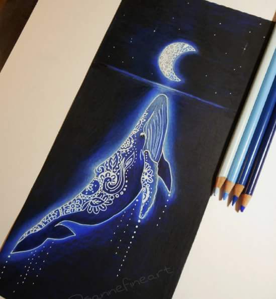 moon fish drawings by sanne