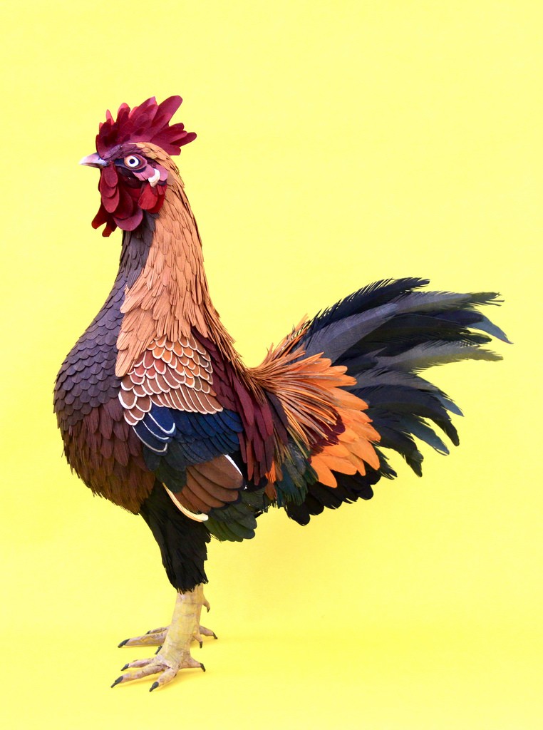 21 chicken bird paper sculptures by diana