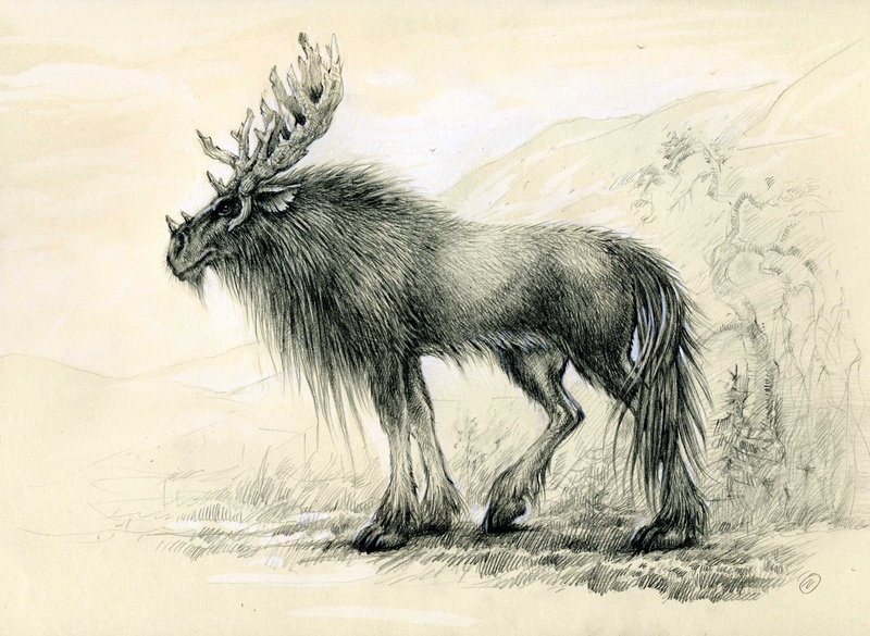 23 deer surreal drawings by olga