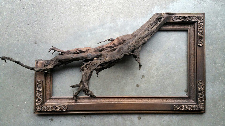 trees fused picture frames by fusionframesnw