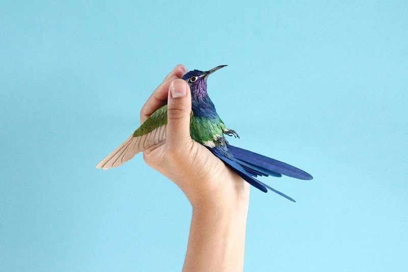 humming bird paper sculptures by diana
