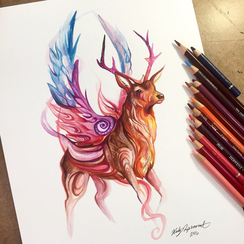 deer animal drawings by katy lipscomb