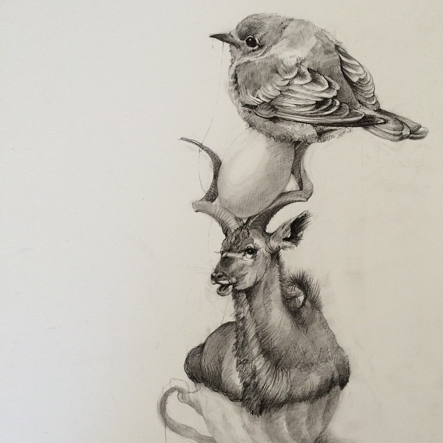 deer animal pencil drawing by adonna khare