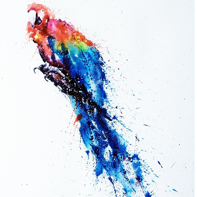 parrot colorful watercolor paintings by liviing