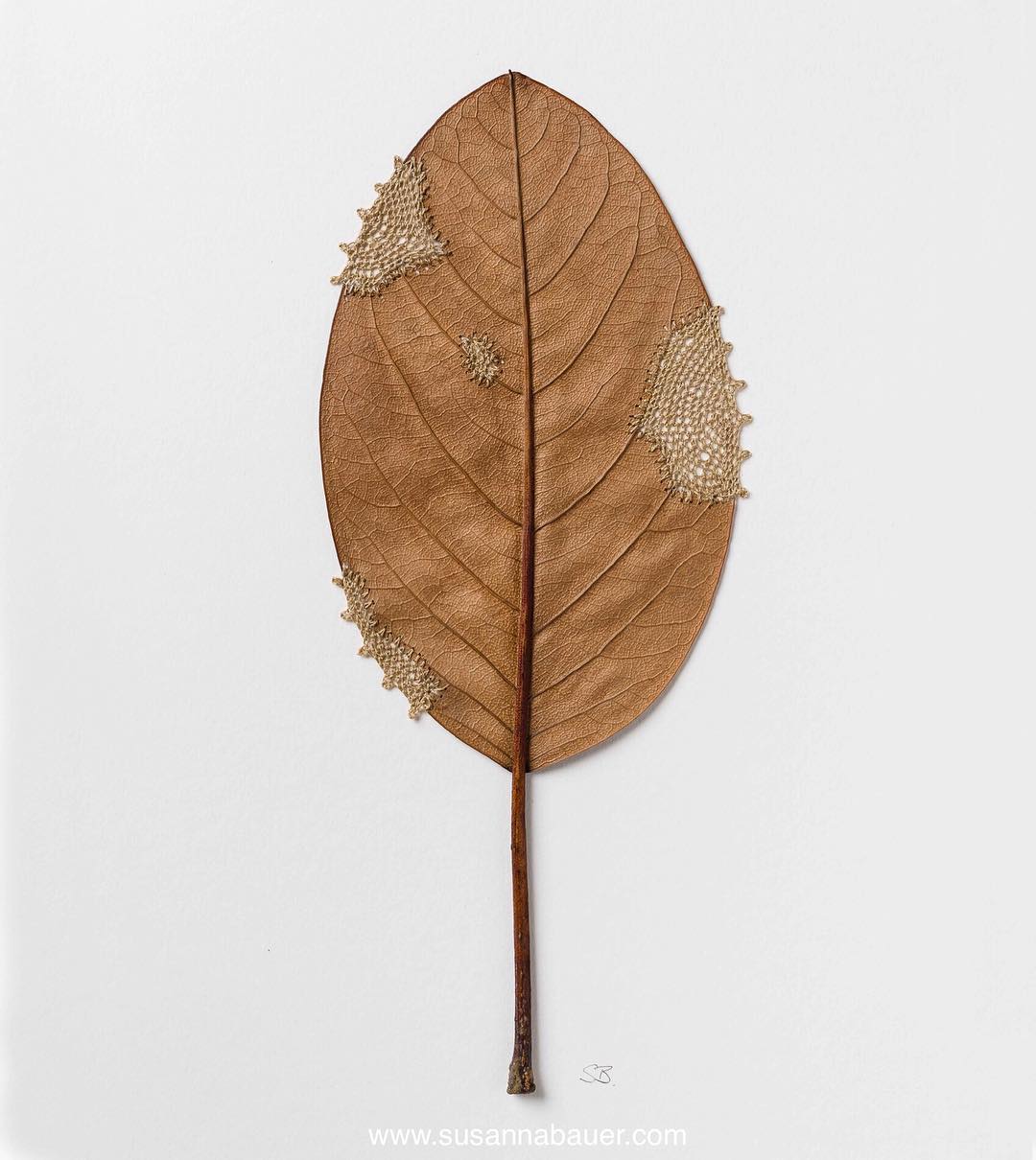 1 embroidery leaf art broken susanna bauer