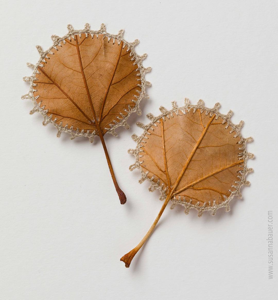 10 embroidery leaf art little leaves susanna bauer