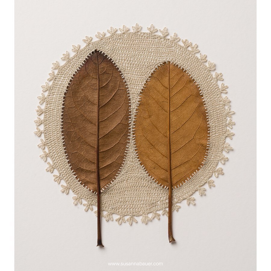 11 embroidery leaf art magnolia leaf susanna bauer