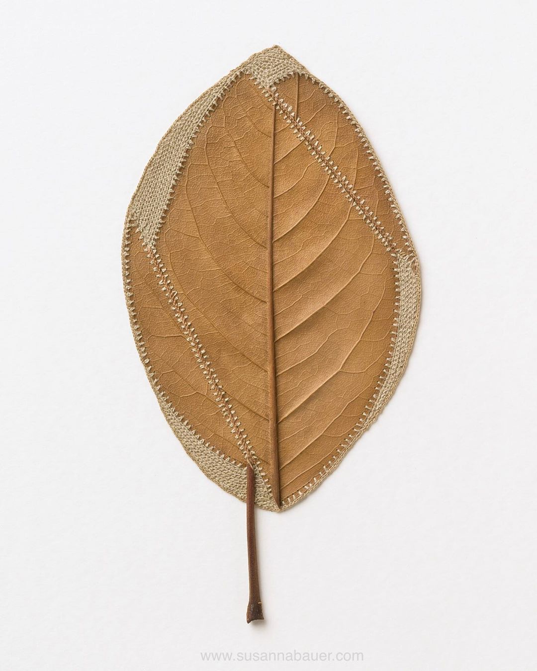 embroidery leaf art mess susanna bauer