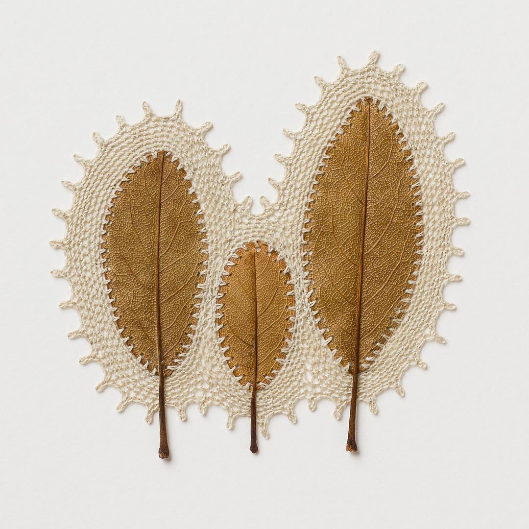 embroidery leaf art oval susanna bauer
