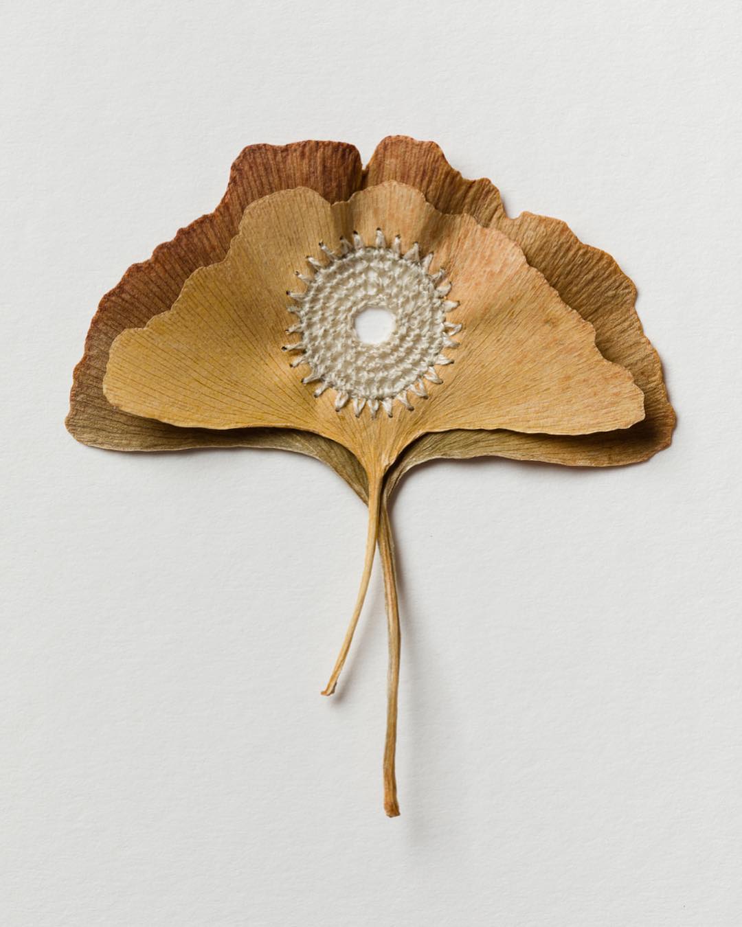 embroidery leaf art shamrock susanna bauer