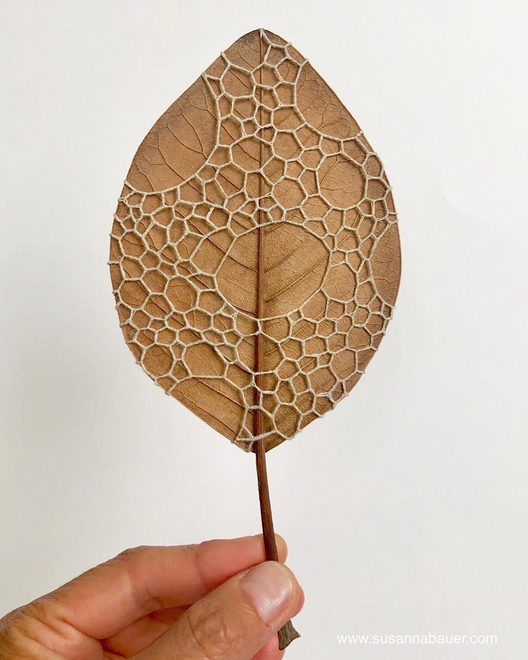 17 embroidery leaf art spiderweb susanna bauer