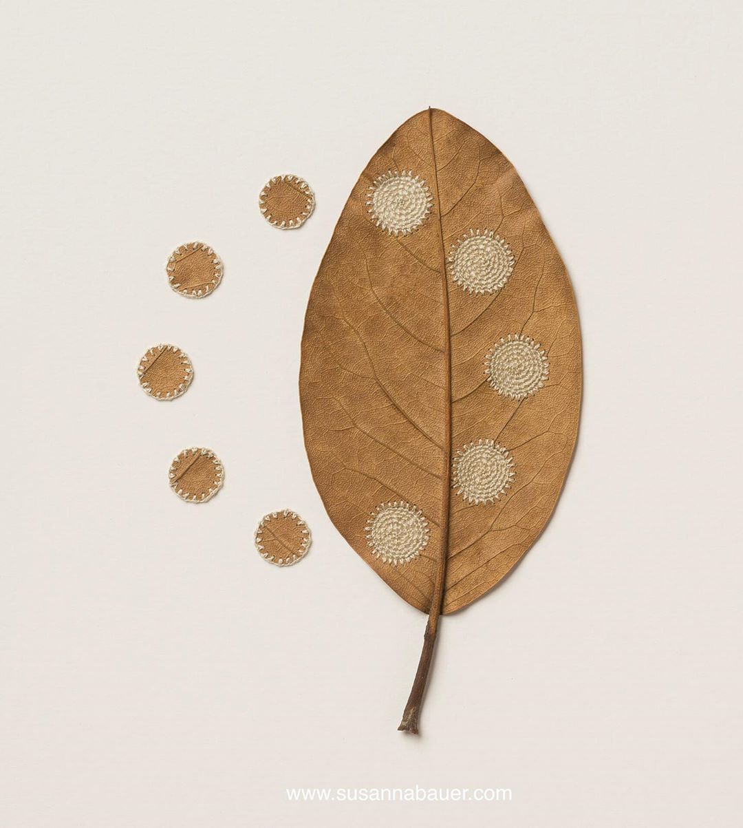 embroidery leaf art circles susanna bauer
