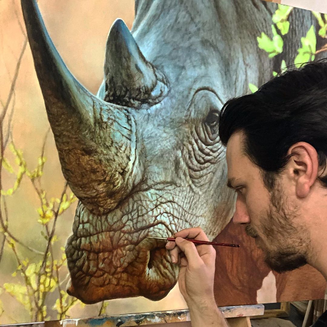 5 painting rhino nick sider