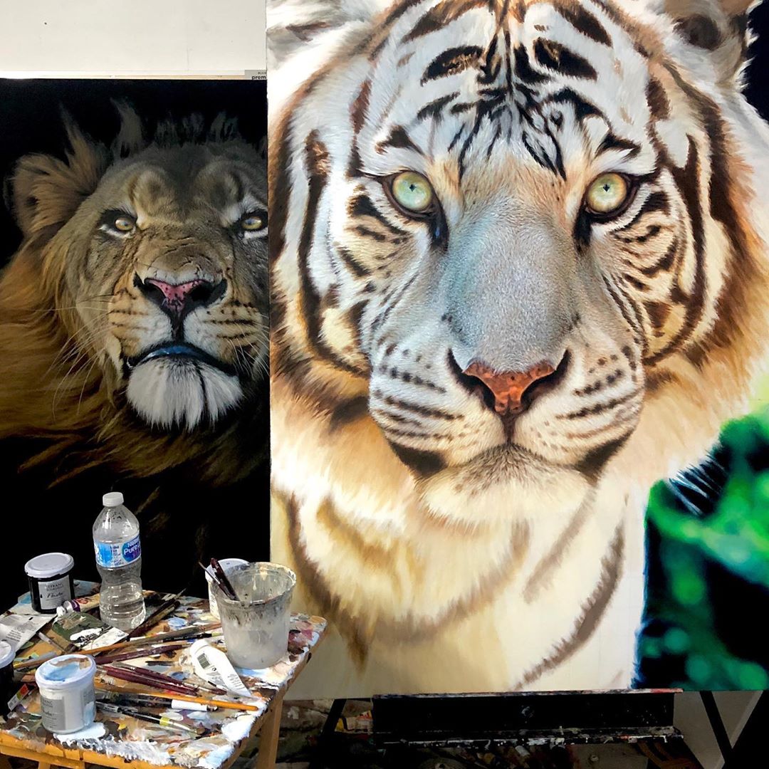 9 painting tiger lion nick sider