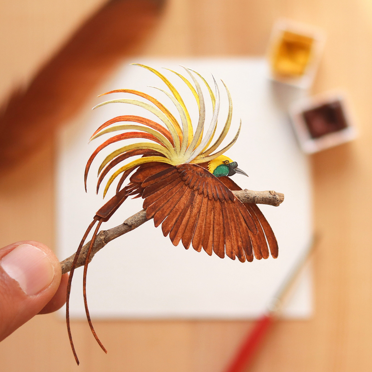 miniature painting greater bird paradise by nayan vaishali