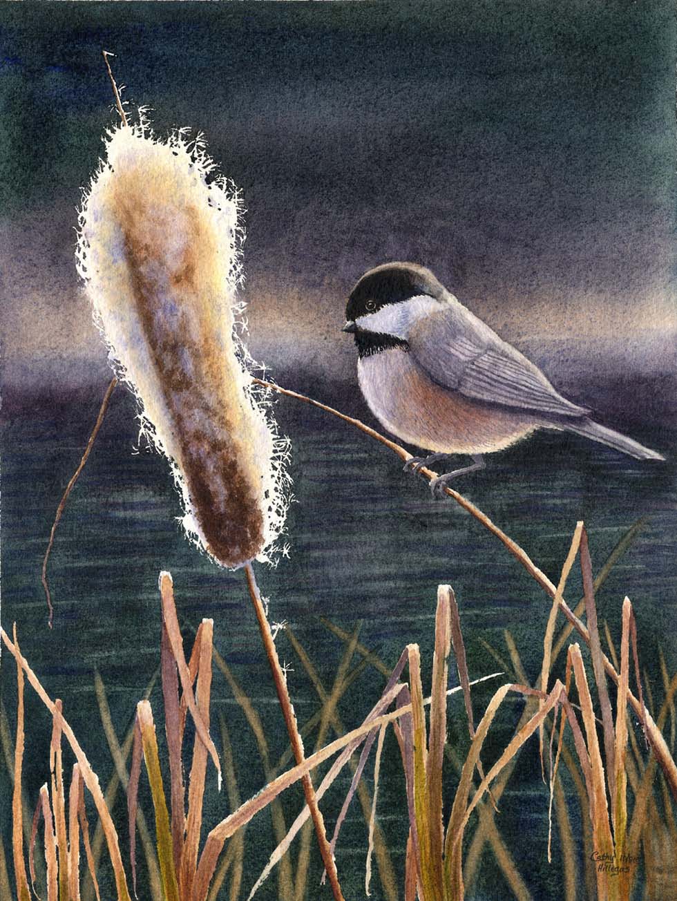 watercolor painting bird by cathy hillegas