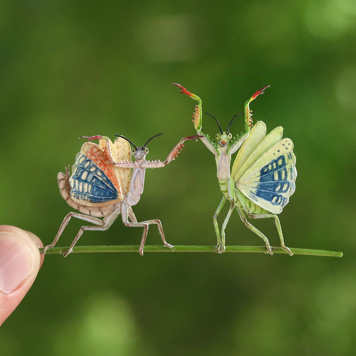 5 miniature paper art praying mantis by nayan vaishali