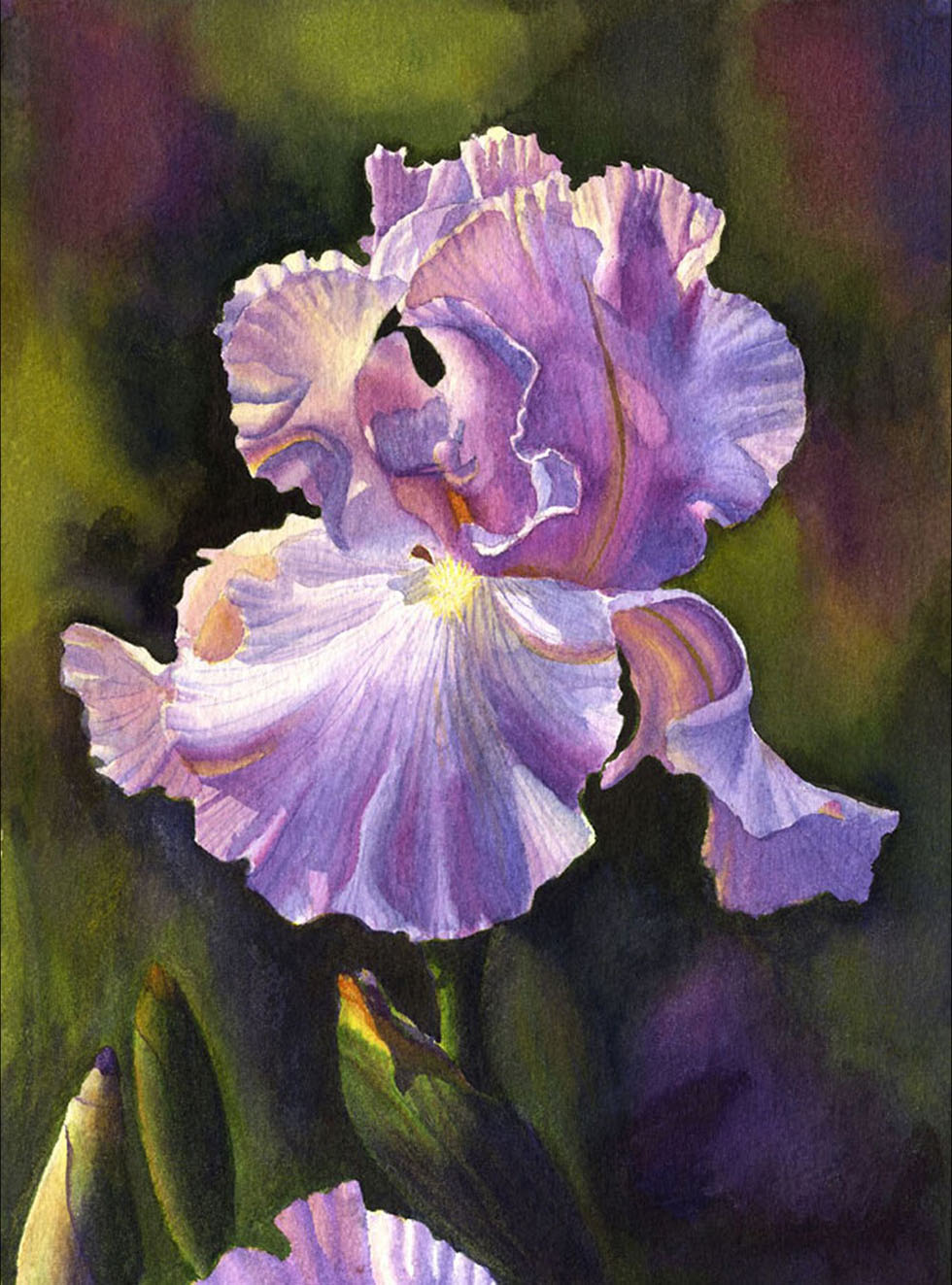 watercolor painting violet flower by cathy hillegas