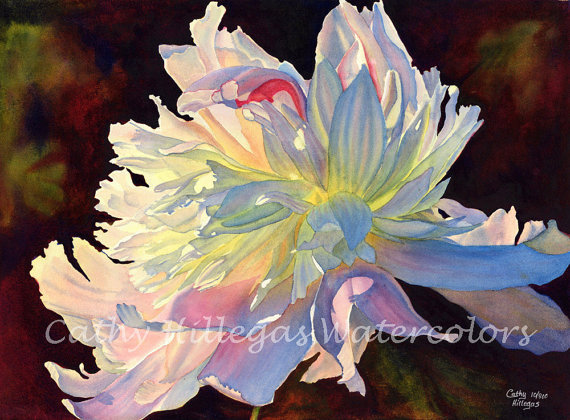 watercolor paintingwhite flower by cathy hillegas