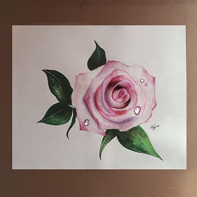 rose color pencil drawings by kayan artcisne