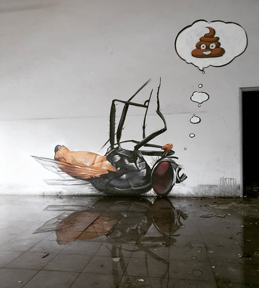 3d wall art mural painting fly odeith