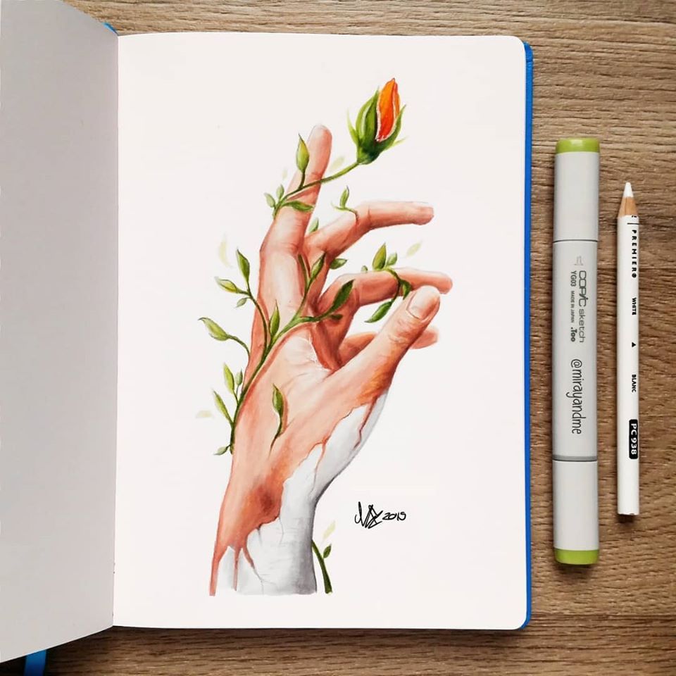 color pencil drawing rose bud miray