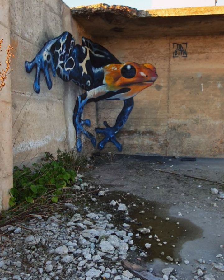3d wall art mural painting frog odeith