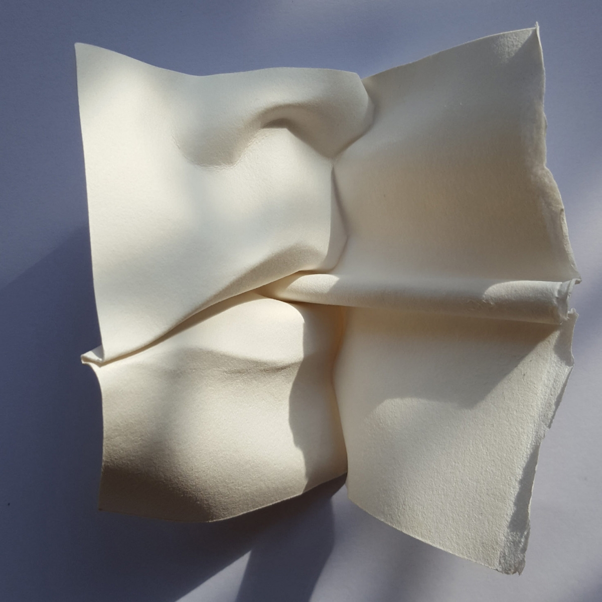 5 paper sculpture art eat polly verity