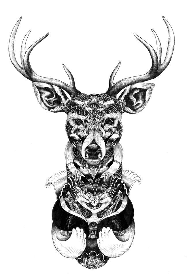 1 deer creative drawings by iain macarthur