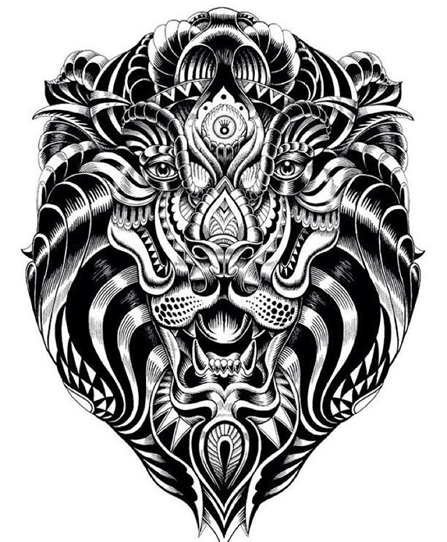 lion creative drawings by iain macarthur