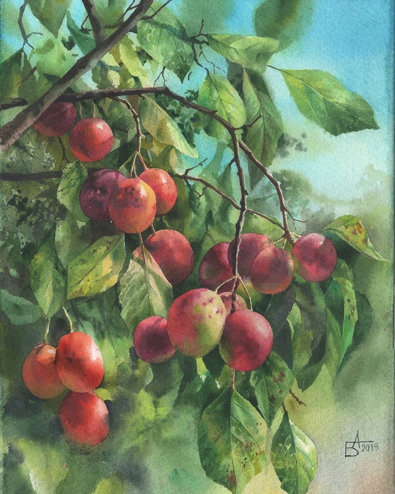 watercolor painting fruits besedina anastasia