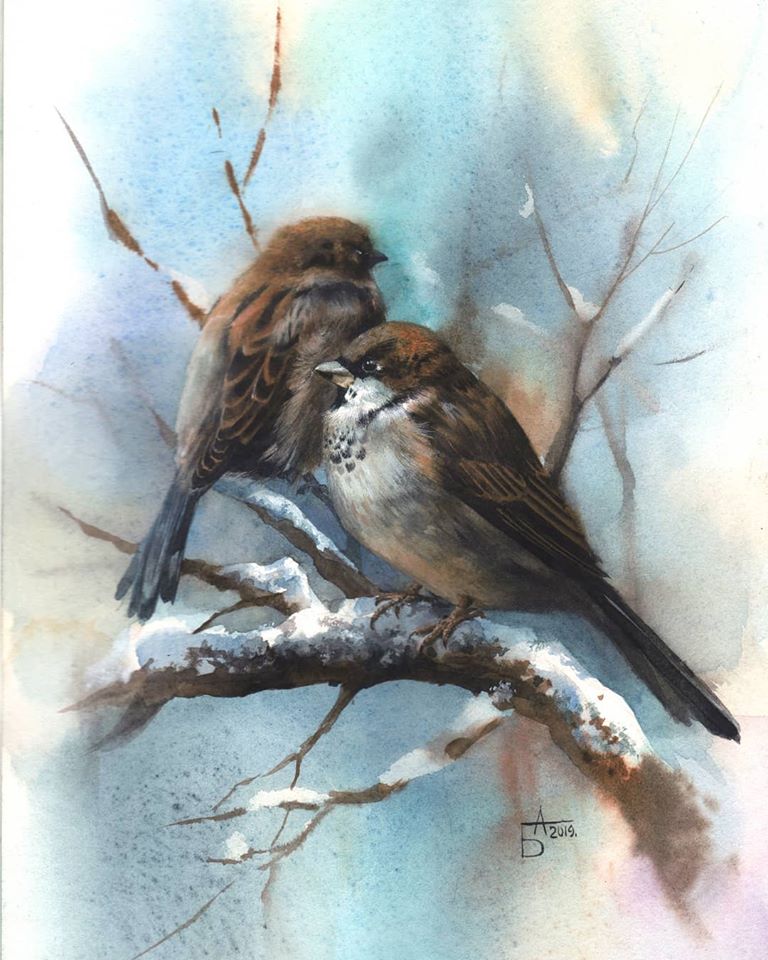 5 watercolor painting birds besedina anastasia