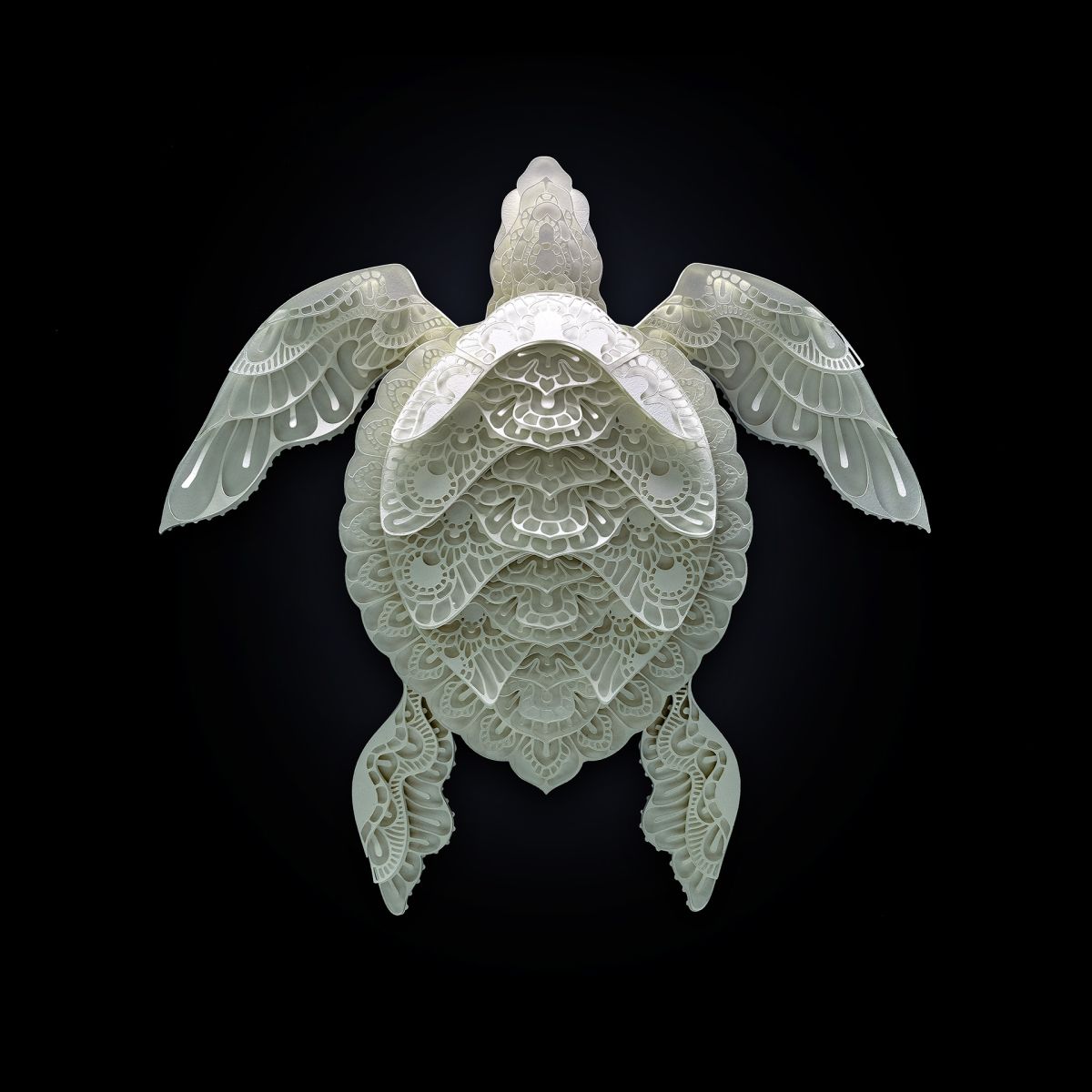 paper sculpture art tortoise patrick cabral
