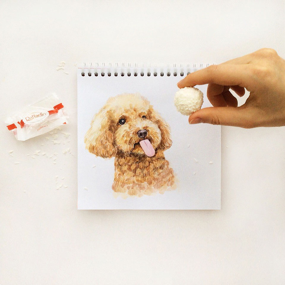 11 funny dog color pencil drawing idea by valerie susik