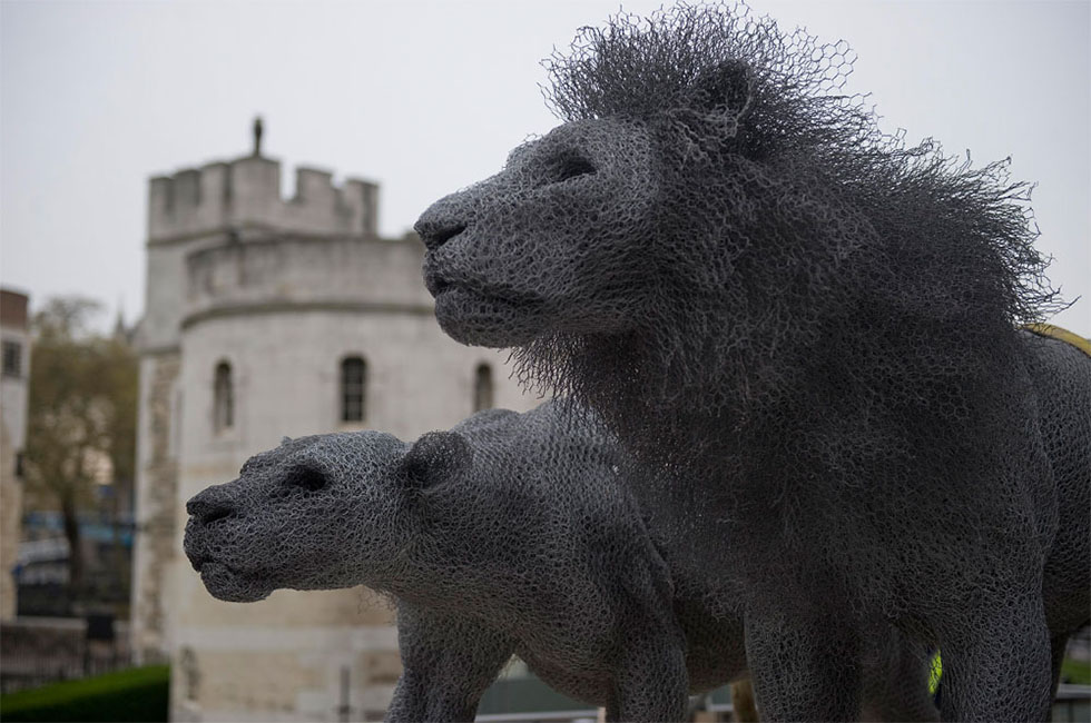 wire sculpture lions by kendra haste