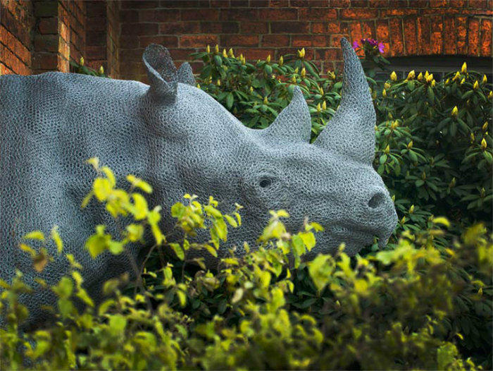 wire sculpture rhino by kendra haste