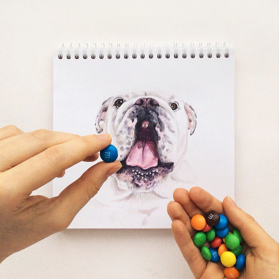 funny dog color pencil drawing idea by valerie susik