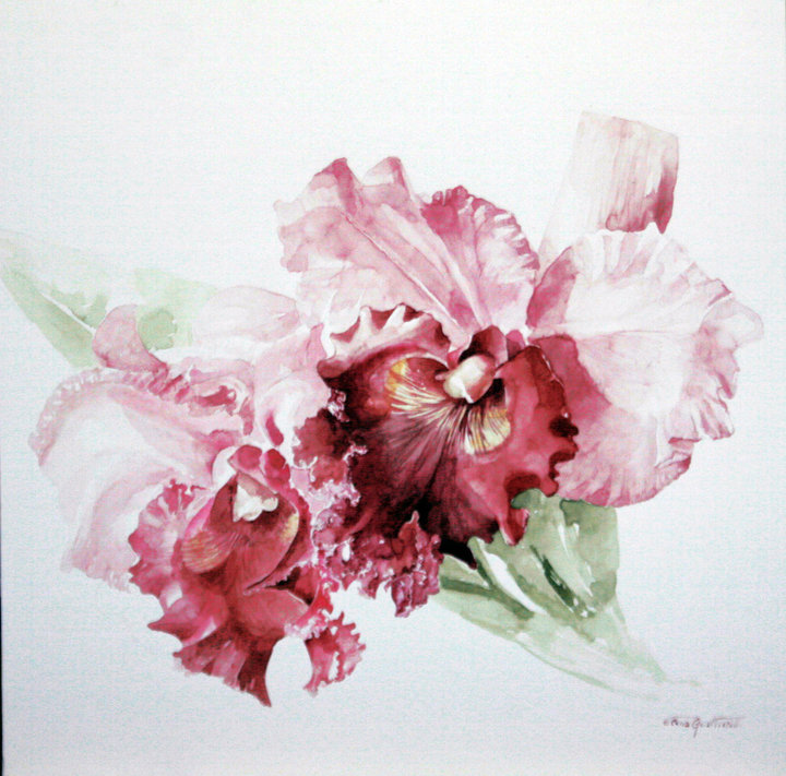 oil painting flower elena gualtierotti