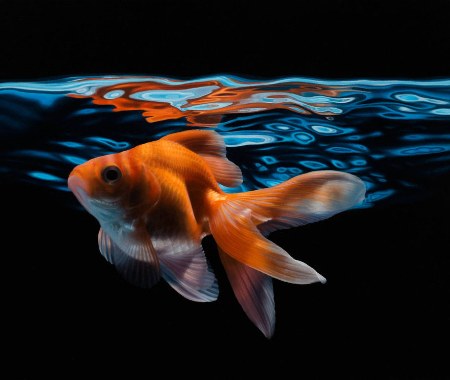3 realistic oil painting goldfish by patrick kremar