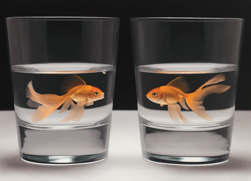 6 realistic painting fish by patrick kremar