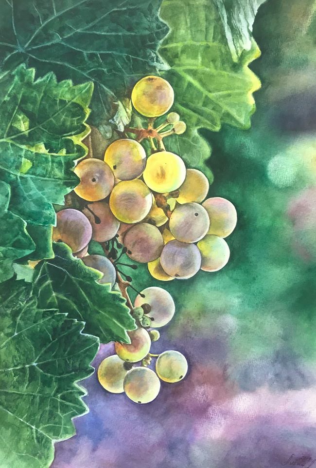 hyper realistic watercolor painting grapes by elena van gelder