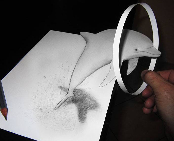 dolphin 3d pencil drawing by alessandro