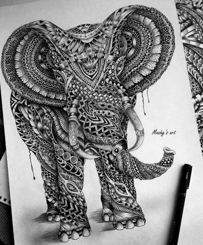 elephant pencil drawing by maahy