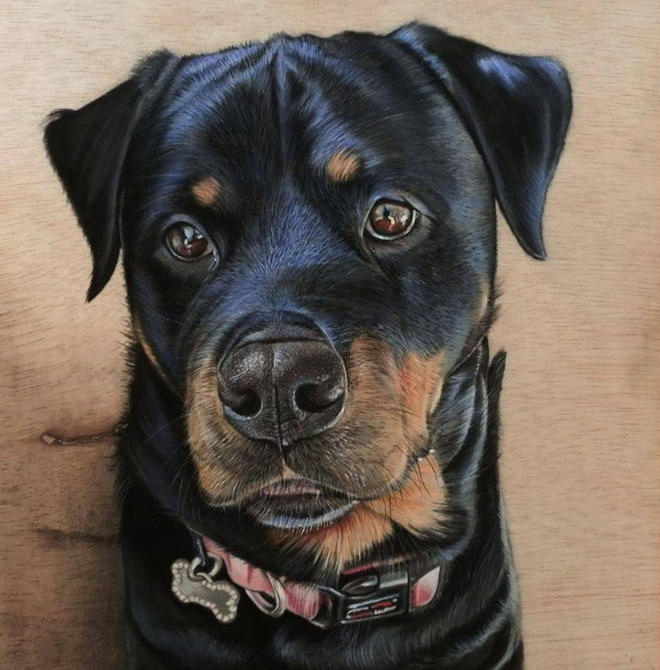 Dog 3d drawing on wood by ivan