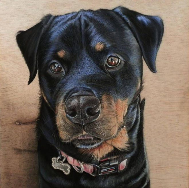 dog 3d drawing on woods by ivan