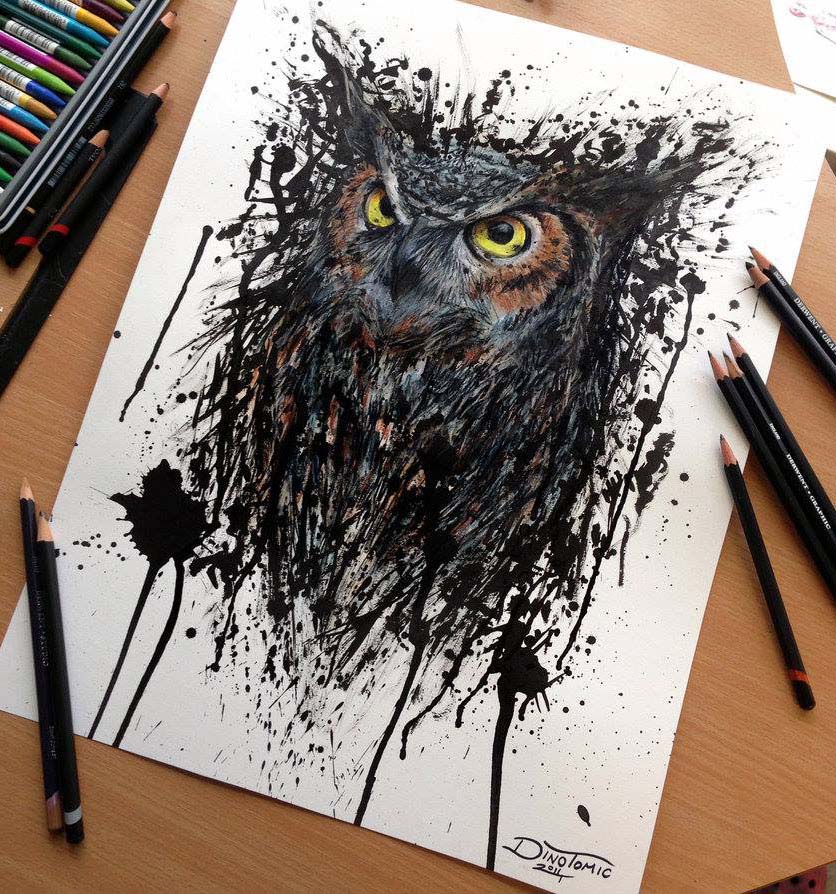 owl pencil drawing by dino