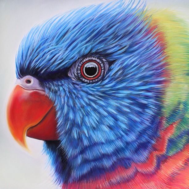 parrot painting by joannebarby